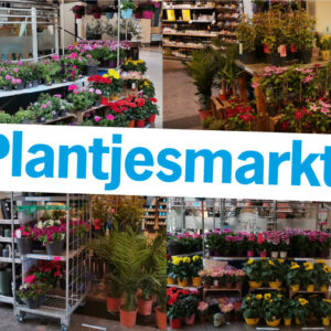 AH Plantjesmarkt 2 juni